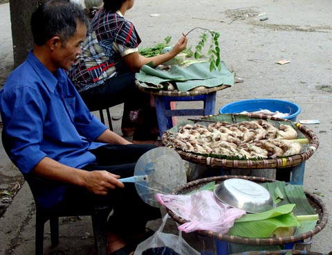 Kỳ th&uacute; chuyện săn chuột &ldquo;khủng&rdquo; ở Th&aacute;i B&igrave;nh