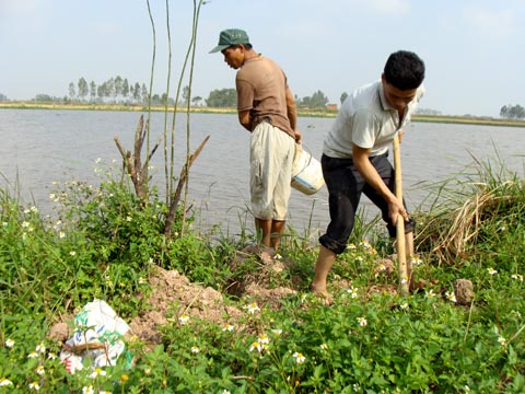 Chuyện săn chuột vui như hội