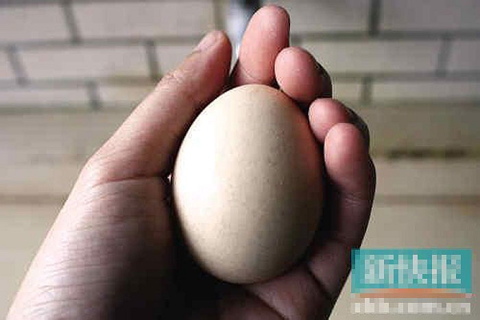 Lại xuất hiện trứng g&agrave; giả l&agrave;m bằng nhựa 1