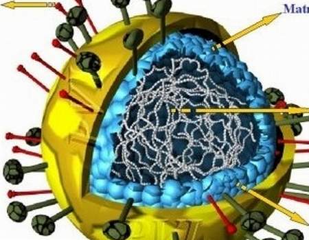 Coi chừng trẻ bị vi&ecirc;m tiểu phế quản 3
