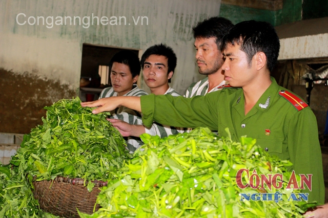 Đảm bảo ATVSTP cho phạm nhân tại Trại Tạm giam Công an tỉnh - Ảnh: Thiên Thảo