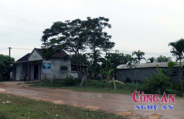 Trên 6 nghìn m2 đất hai lúa cấp sai quy định sẽ được trả lại cho dân