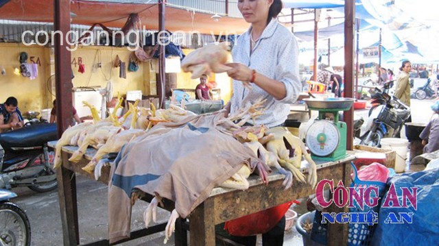Gia cầm chưa qua kiểm dịch vẫn được bày bán công khai  tại các chợ