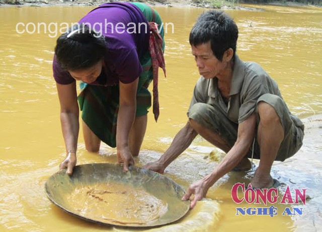 Dù tuổi đã cao, vợ chồng ông Hiệu vẫn phải đi đãi vàng để nuôi cháu