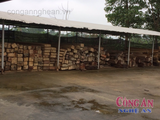 Số gỗ lậu Đội 3 bắt giữ trong thời gian qua