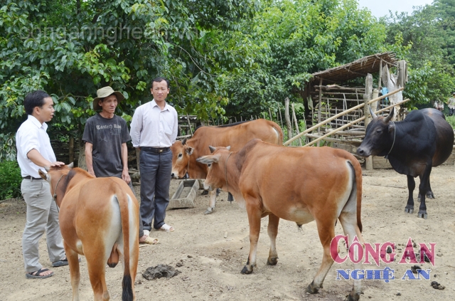 Đội viên Hạ Bá Lỳ - Phó Chủ tịch UBND xã Huồi Tụ, huyện Kỳ Sơn (ngoài cùng bên trái) hướng dẫn nhân dân phương pháp chăm sóc đàn gia súc
