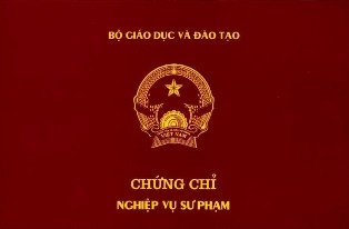 Trước đây, người tốt nghiệp ĐH ngoài sư phạm vẫn có thể giảng dạy ở trường THPT nếu có chứng chỉ NVSP