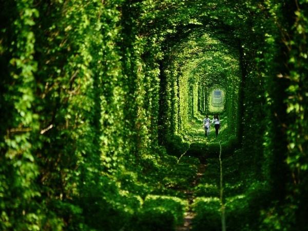 Hầm tình yêu ở Kleven, Ukraine là một đoạn đường sắt dài 3 cây số dẫn đến một nhà máy ván ép. Đoạn đường này được phủ một màu xanh mướt bởi những bụi cây trồng san sát đan quyện biến nó thành một con đường hầm cổ tích tuyệt đẹp