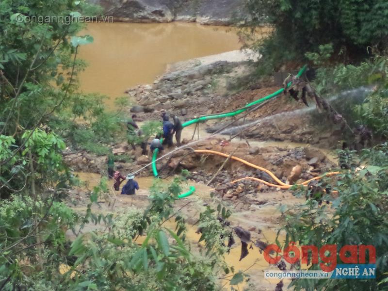 Nhiều tốp khai thác vàng trái phép tại Khe Què - Ảnh: Đình Tiệp