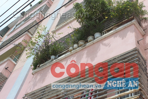 Cần sớm tháo gỡ những chậu hoa có thể gây nguy hiểm này