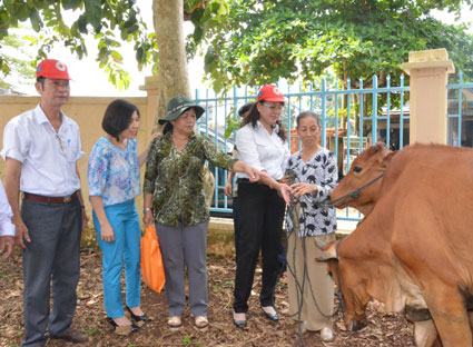 Provincial Red Cross Association offers cows to poor people in Chau Duc district