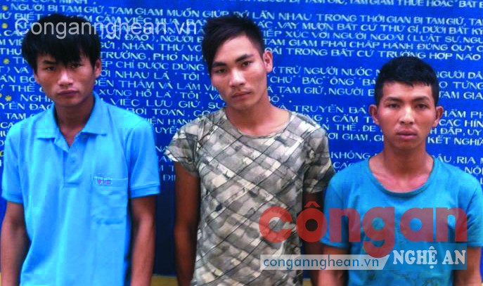 Các đối tượng bị bắt trong Chuyên án