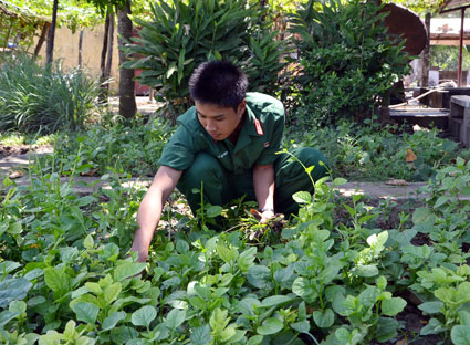Chiến sĩ Lê Tuấn Thành chăm sóc vườn rau.