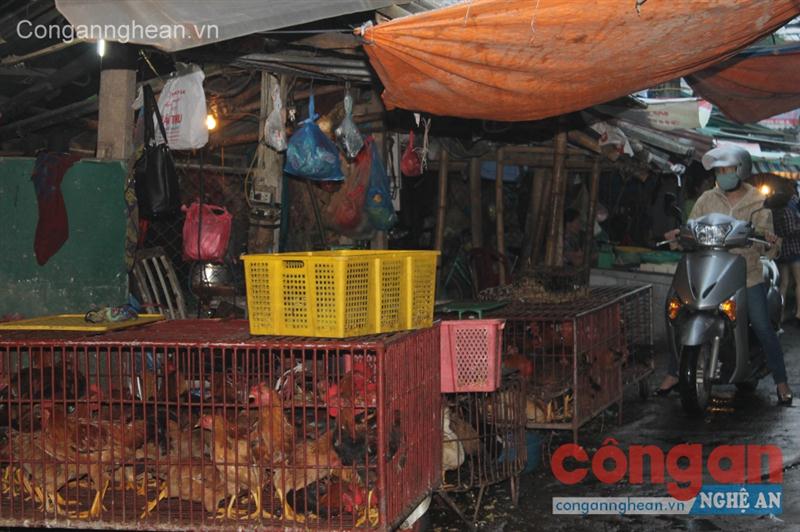 Người kinh doanh lẫn người tiêu dùng  vẫn thờ ơ với dịch cúm A/H5N6