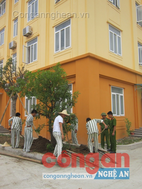 Các phạm nhân đang trồng cây trong khuôn viên Trại