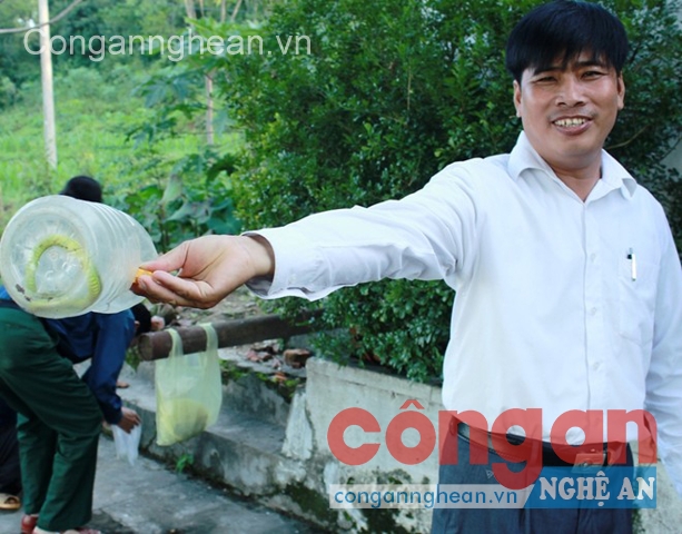 Người dân tham gia bắt rắn lục đuôi đỏ nộp cho xã