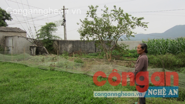 Khu vực bị nhiễm thuốc trừ sâu