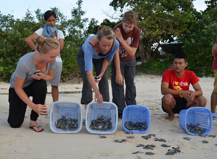 Du khách thả rùa về biển tại Vườn quốc gia Côn Đảo.