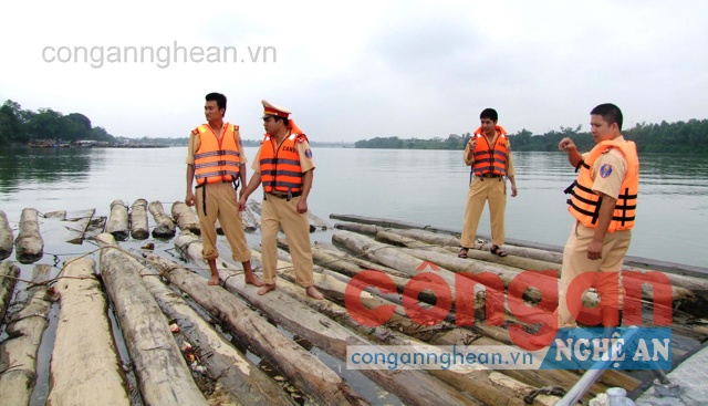 Phát hiện, đấu tranh với nhiều trường hợp vận chuyển lâm sản trái phép