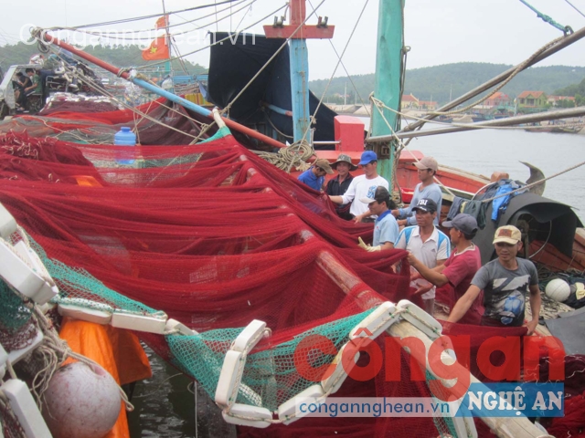 Ngư dân vui mừng khi giá xăng, dầu giảm 