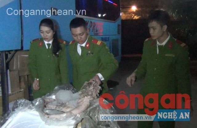 Công an TP Vinh kiểm tra lô hàng thực phẩm, nội tạng động vật không rõ nguồn gốc