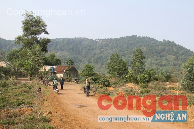 Một góc trang trại Hố Chuối tại xã Khánh Sơn