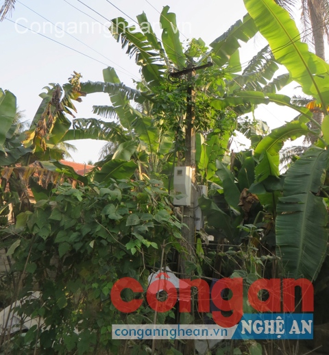 Cột điện đã từng gây tai nạn chết người vẫn không được di chuyển