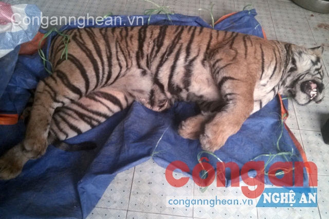 Tang vật vụ án