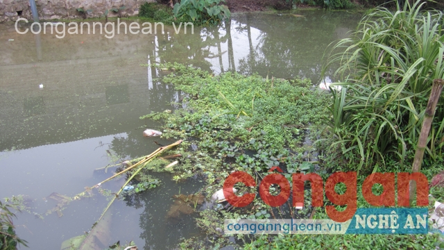 Nước thải sau khi qua hệ thống Biogas được thải ra khe đập tràn