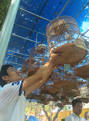 Ban Giám khảo tháo áo lồng chim chuẩn bị bước vào hội thi