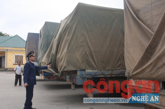 Các xe chở đầy gỗ và được che kín nhằm qua mắt lực lượng chức năng