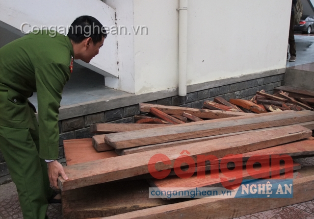 Số gỗ phát hiện trên xe