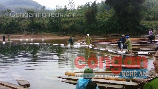 40m3 gỗ bị cơ quan chức năng thu giữ ngày 7/2 tại sông Rào Tre