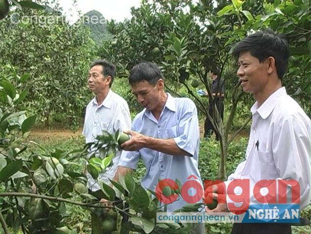 Xác định được hướng thoát nghèo bằng giải pháp gì không phải là dễ đối với bà con vùng sâu, vùng xa