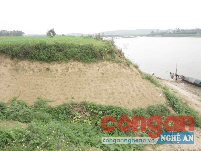 Hiện tượng sạt lở đã ăn sâu vào đất nông nghiệp của người dân