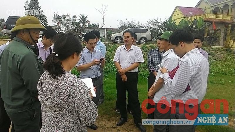 Các cơ quan chức năng tới hiện trường, tìm hiểu nguyên nhân  ngao chết hàng loạt