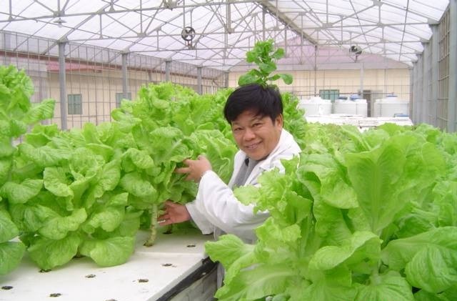 Đầu tư cho lĩnh vực nông nghiệp công nghệ cao, DN rất cần quỹ đất đủ lớn.