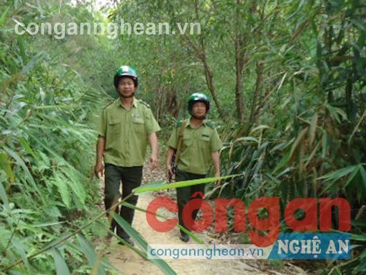 Cán bộ kiểm lâm tuần tra, kiểm tra rừng để giữ gìn, bảo vệ tài nguyên rừng