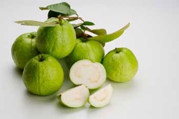 Ổi quá quen thuộc với chúng ta nhưng ít người biết tác dụng kỳ diệu của loài quả này