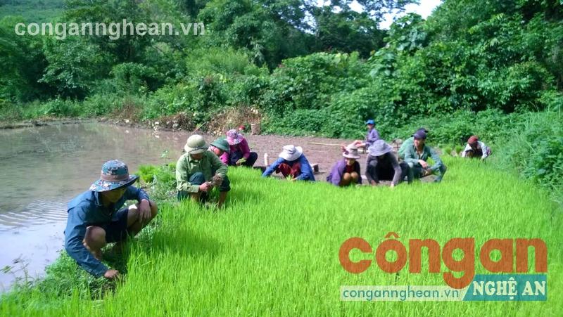 Các CBCS Đồn Biên phòng Mỹ Lý giúp dân phát triển kinh tế đảm bảo ANTT trong khu dân cư