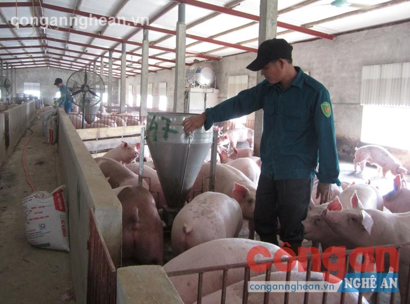 Kinh tế trang trại đang là xu hướng sản xuất chủ đạo của bà con nông dân