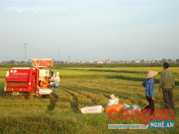 Người nông dân cần liên kết chặt chẽ với HTX trong lao động, sản xuất