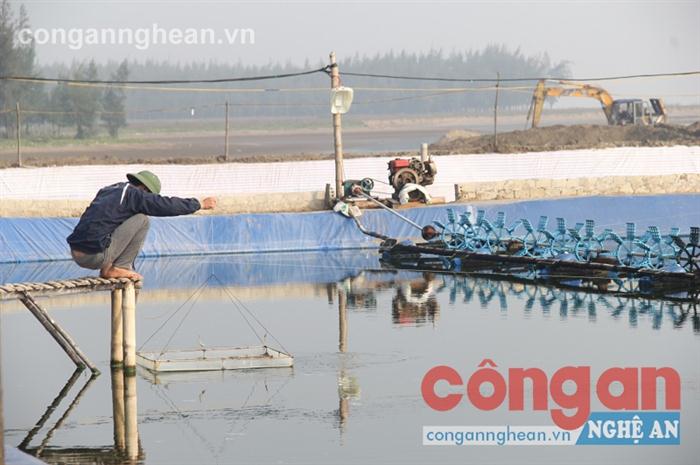 Người dân nên cẩn trọng khi đầu tư nuôi tôm thẻ chân trắng