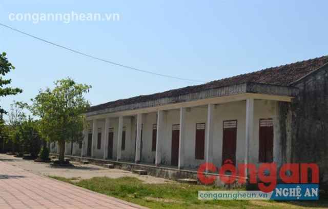 Trường Tiểu học Diễn Quảng, nơi cô và trò phải sống chung với mùi thuốc trừ sâu