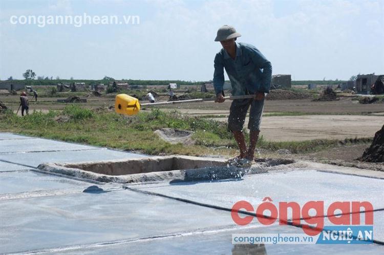 Bất chấp cái nắng như thiêu như đốt,                             những diêm dân vẫn phải “phơi” mình trên đồng muối