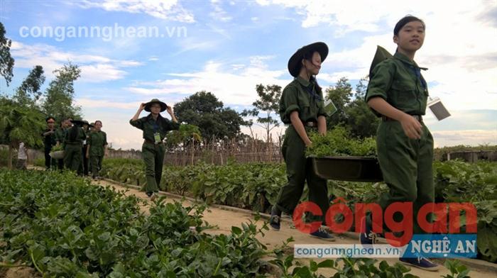 Tham gia lớp Học kỳ quân đội là một hoạt động ý nghĩa vào dịp nghỉ hè
