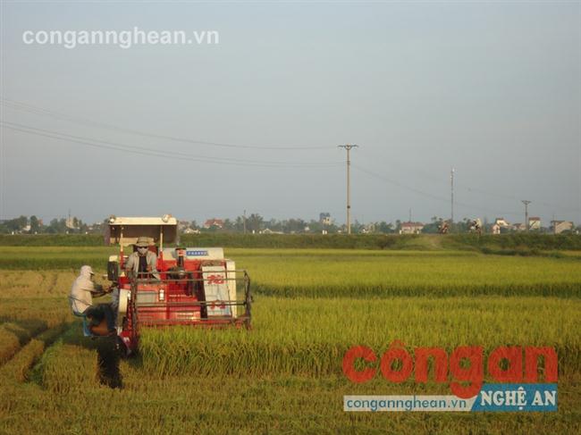 Đảm bảo an toàn, chất lượng vật tư nông nghiệp giúp người nông dân yên tâm sản xuất