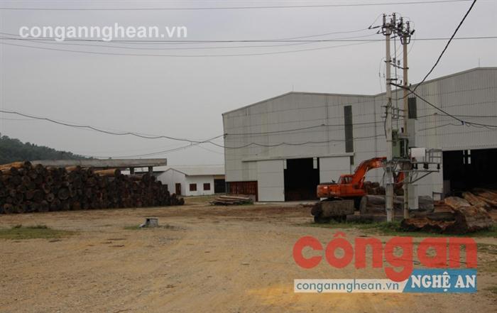 Bãi tập kết gỗ và xưởng cưa, xẻ gỗ không có trong quy hoạch dự án 