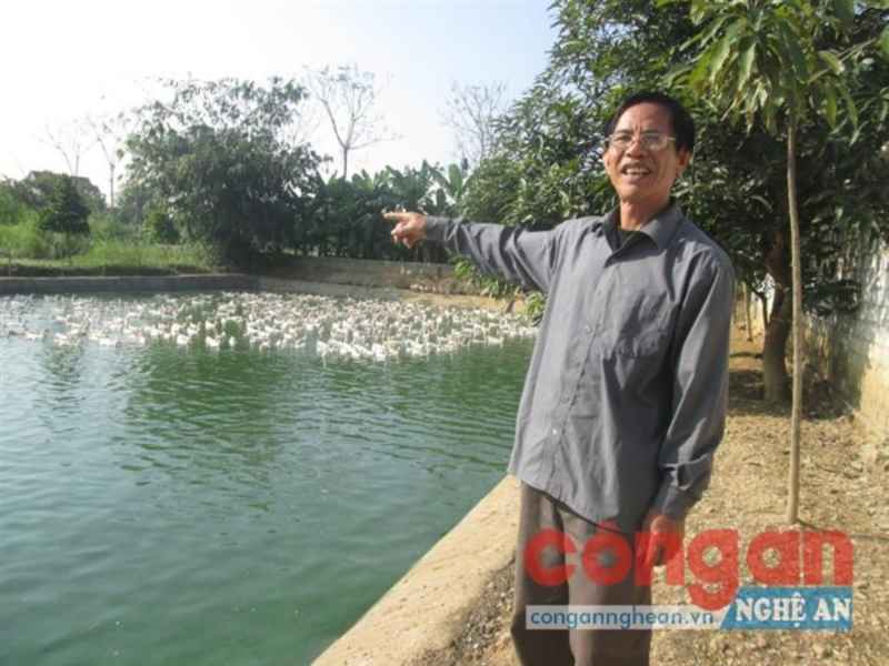 Người lính Cụ Hồ Nguyễn Quang Hùng bên mô hình phát triển kinh tế của mình