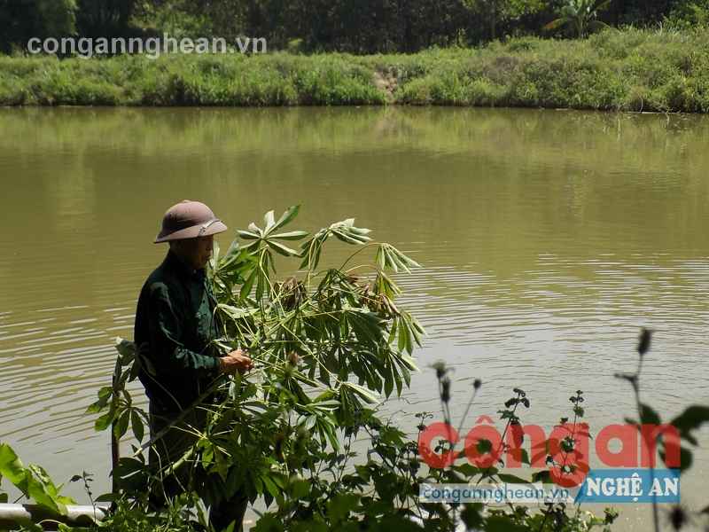               Thương binh Dương Văn Minh nỗ lực vươn lên  làm giàu từ kinh tế trang trại